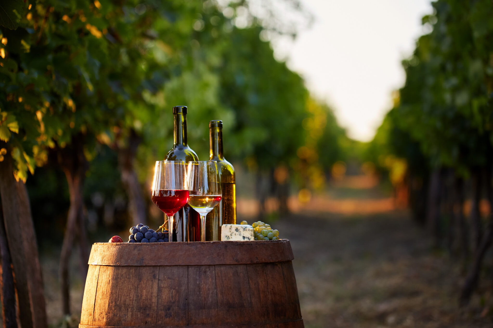 Two glasses of white and red wine with bottles at sunset.