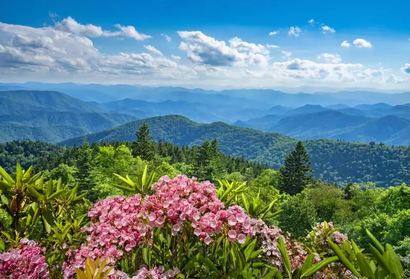 mtns in summer